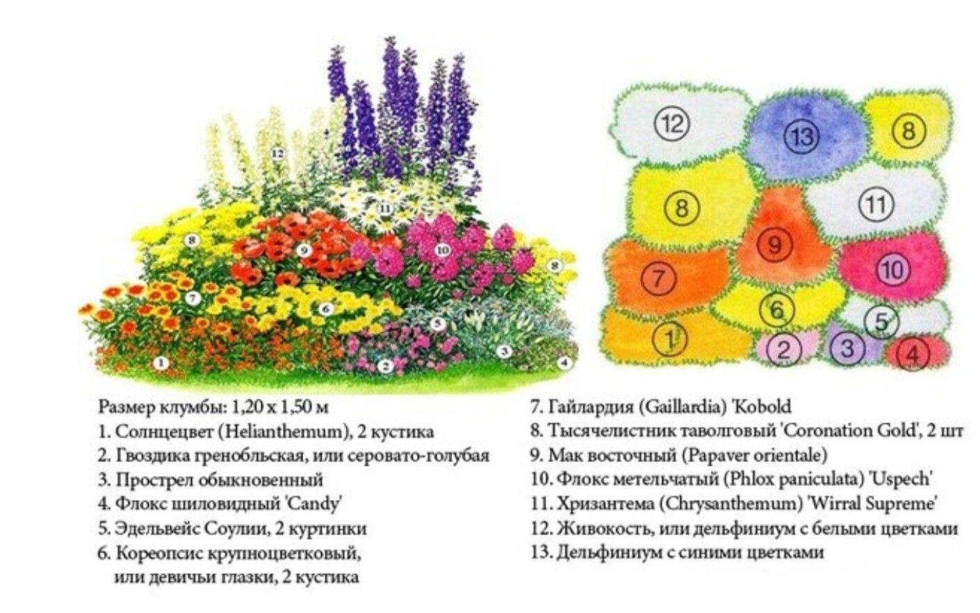 Схемы посадки цветника с тюльпанами (фото) или как красиво посадить тюльпаны?