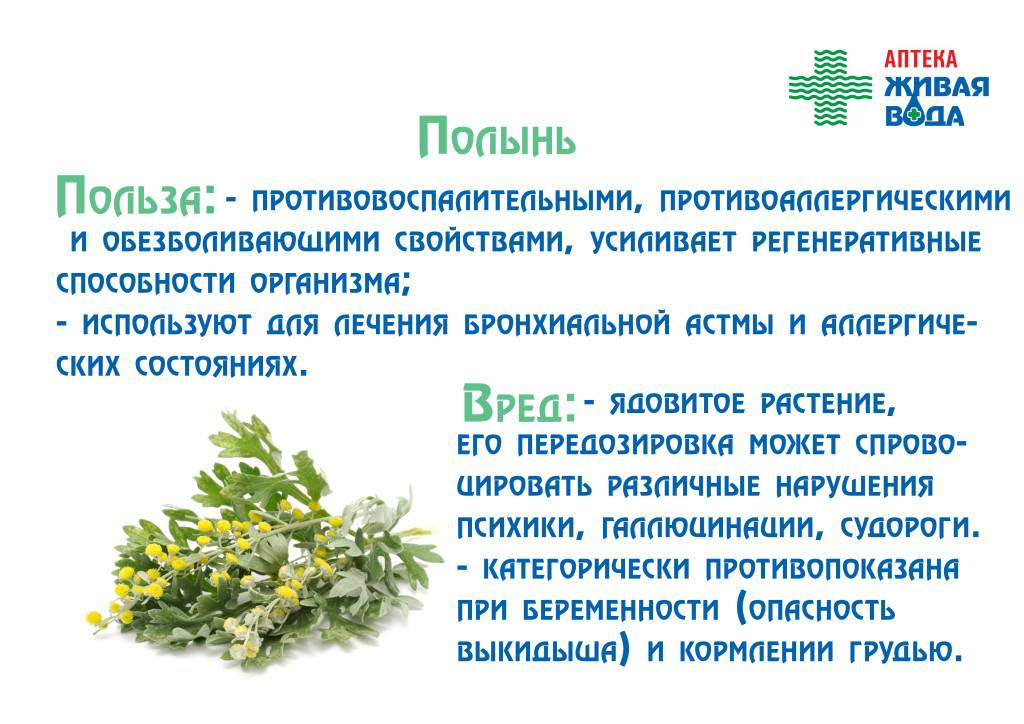 Ксилит