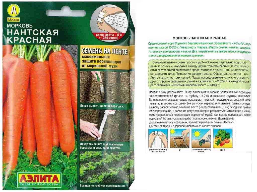 Морковь нантская 4: характеристика и описание улучшенного сорта, особенности посадки, подкормки и ухода, а также сбора урожая