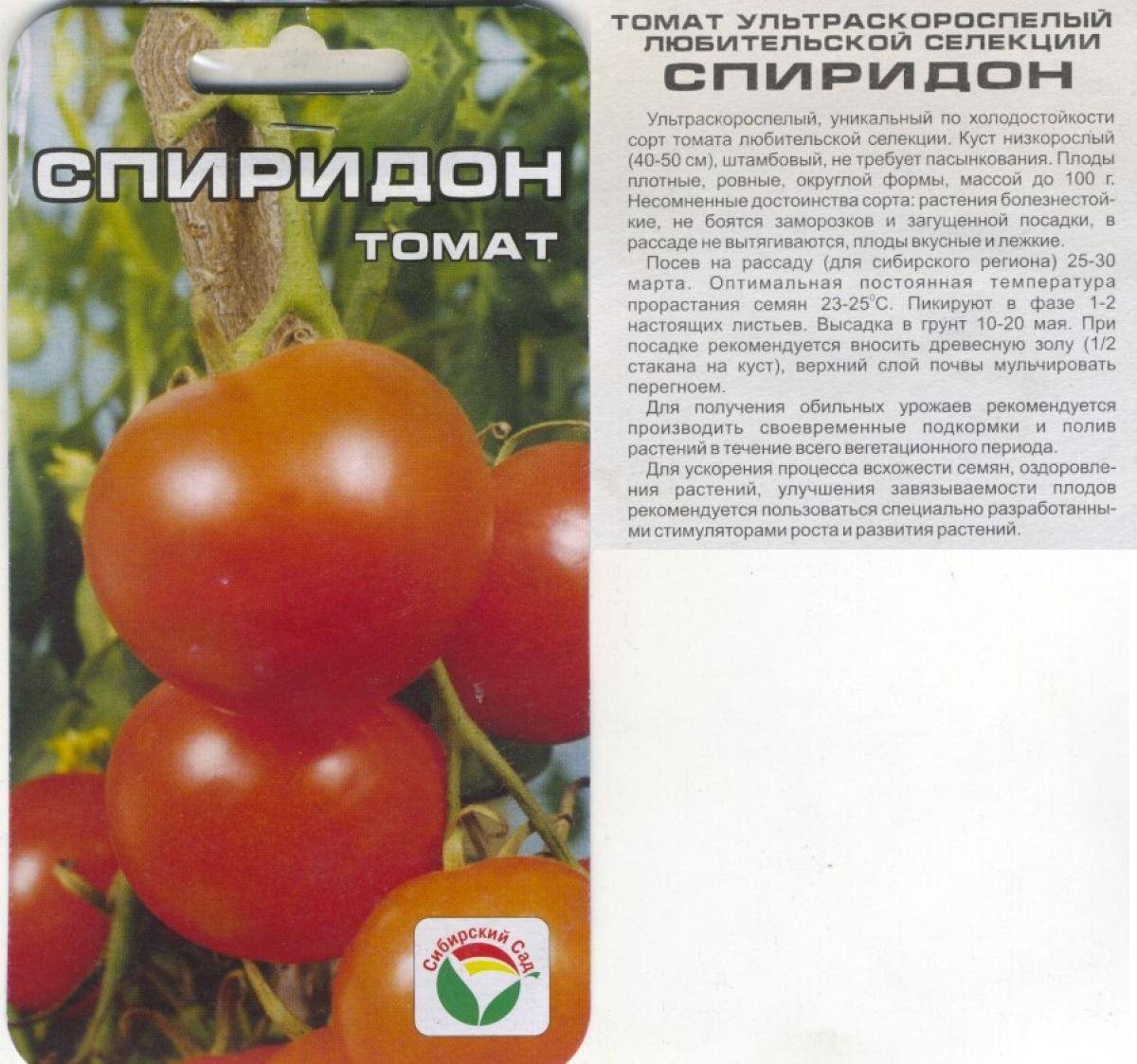 Описание томата серебристая ель, характеристика сорта, выращивание