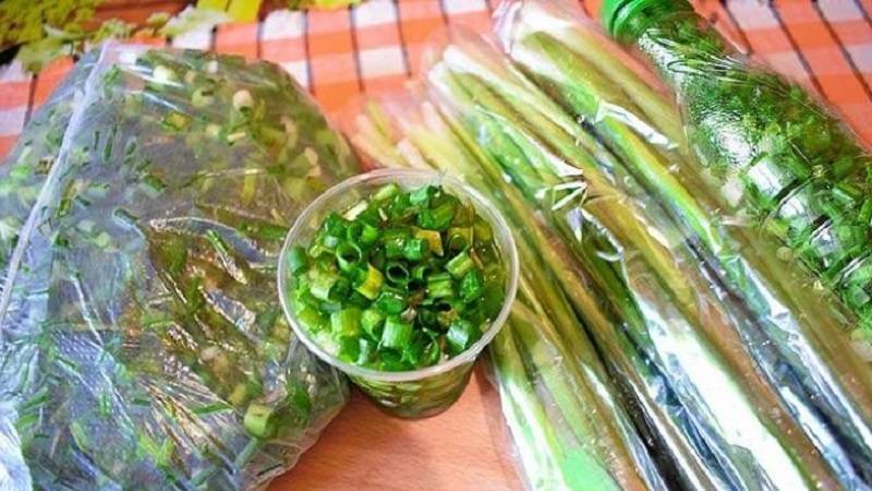 Как можно заморозить зеленый лук на зиму в домашних условиях?
