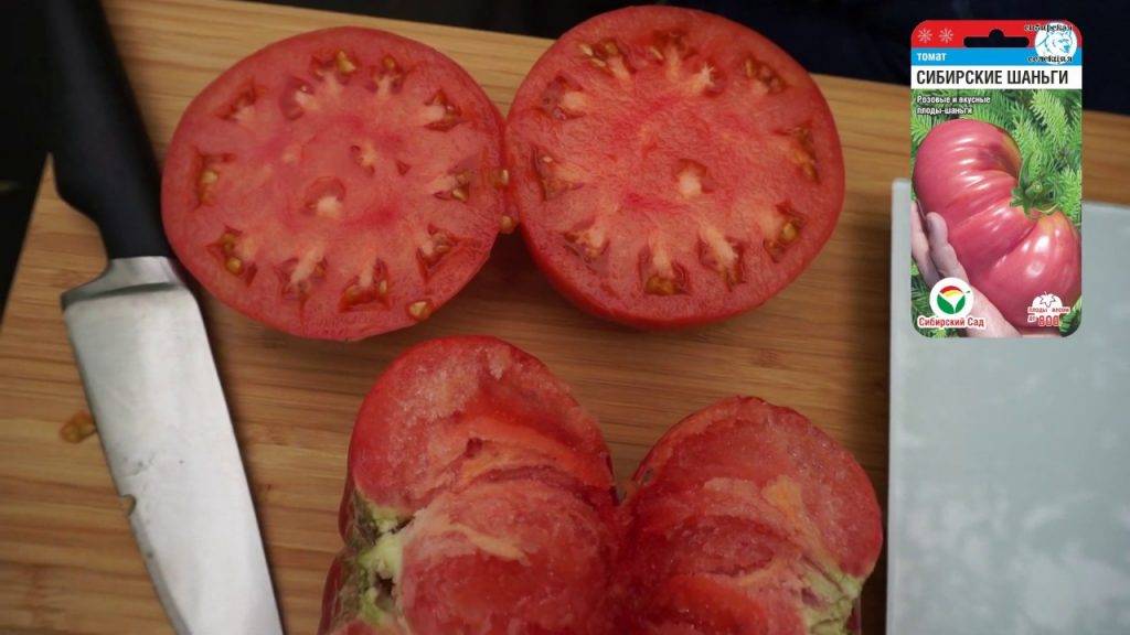 Томат сибирские шаньги - описание и характеристика сорта