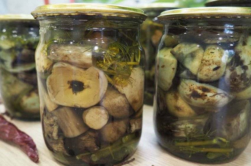 Заготовка подосиновиков на зиму в банках: фото, рецепты приготовления грибов различными способами
