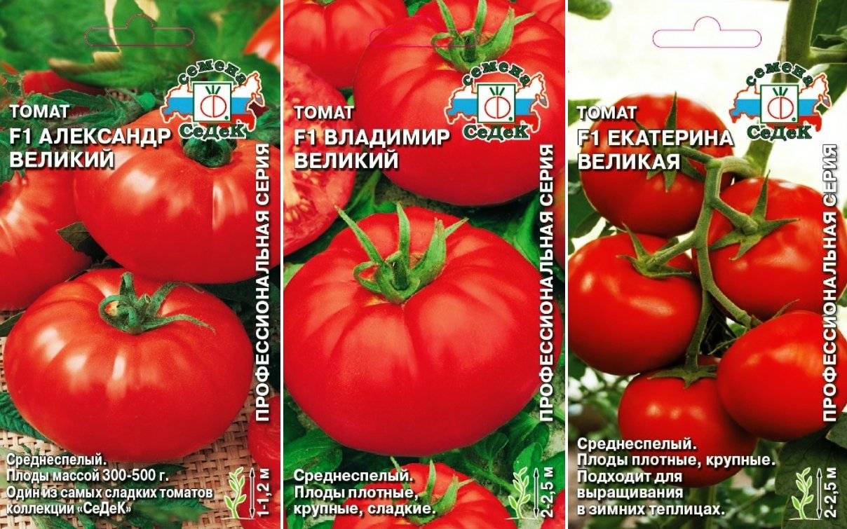 Русская империя f1 — «царский» томат для теплицы. описание урожайности и других достоинств гибрида