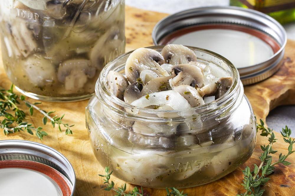 Маринованные вешенки в домашних условиях: 4 очень вкусных рецепта быстрого приготовления