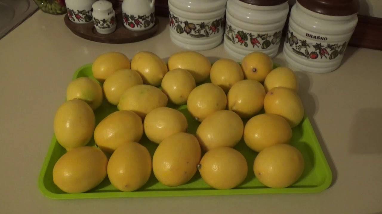 Как сохранить лимон в холодильнике. Заготовки лимона впрок. Замороженный лимон. Храним лимоны долго. Как хранить лимон разрезанный в домашних условиях.