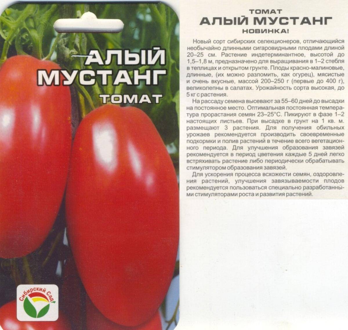Описание томата казанова и агротехника выращивания
