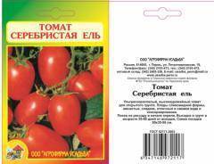 Серебристая ель: описание сорта томата, характеристики помидоров, посев