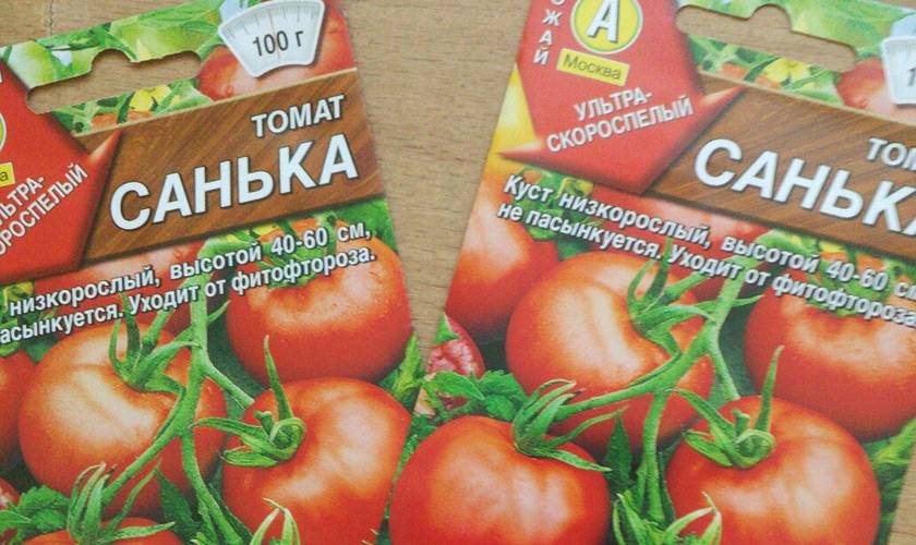 Томат санька - описание сорта, фото, отзывы | огородникам инфо