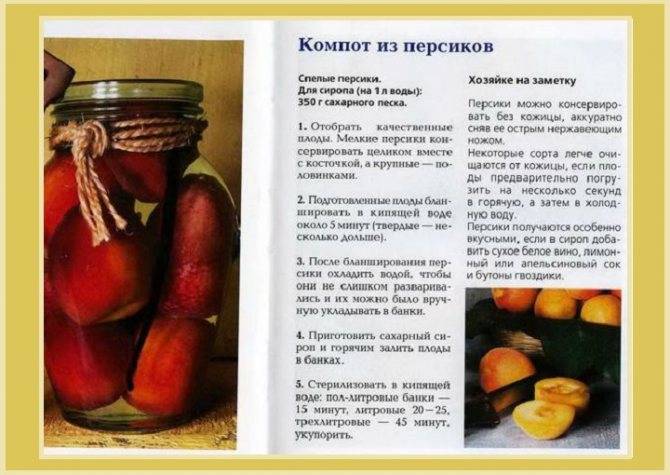 Компот из яблок на зиму: 5 простых рецептов яблочного компота