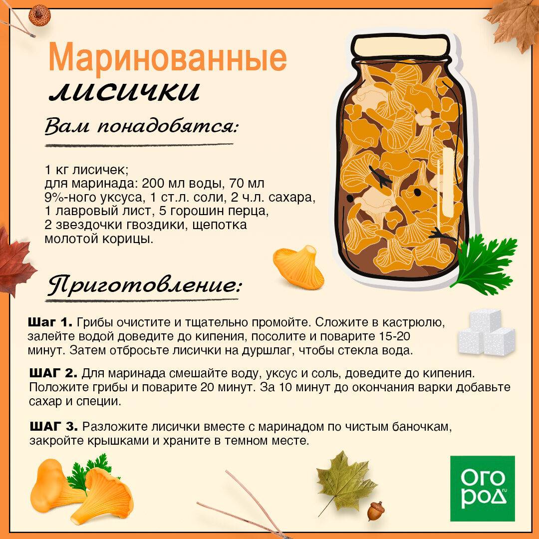 Заготовка из лисичек на зиму. простые русские рецепты: консервация, сушка и заморозка