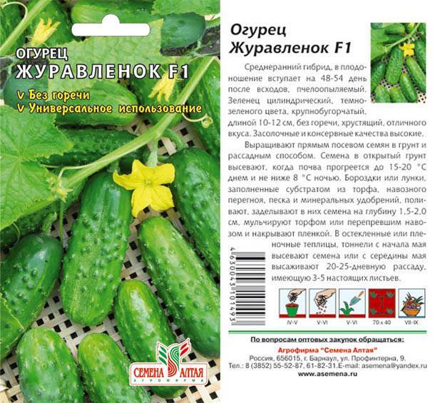 Огурец беттина (f1): описание гибрида, отзывы тех, кто его выращивал, особенности агротехники