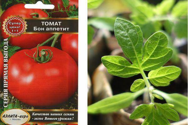 Сорт томатов бетта, описание, характеристика, фото и отзывы тех, кто сажал, а также особенности выращивания