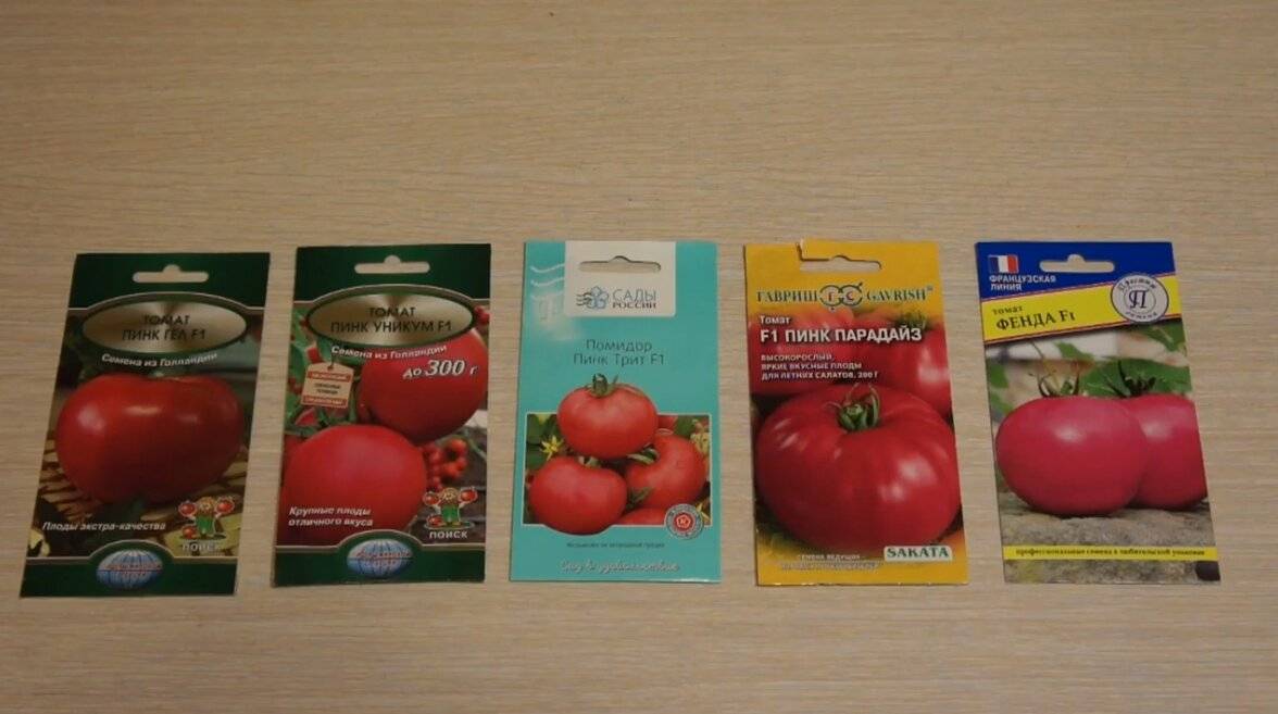 Гибрид из японии — томат пинк райз f1: отзывы и фото куста, детальное описание сорта