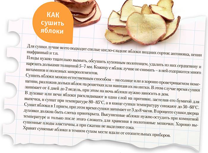 Как правильно сушить яблоки в домашних условиях в электросушилке и духовке