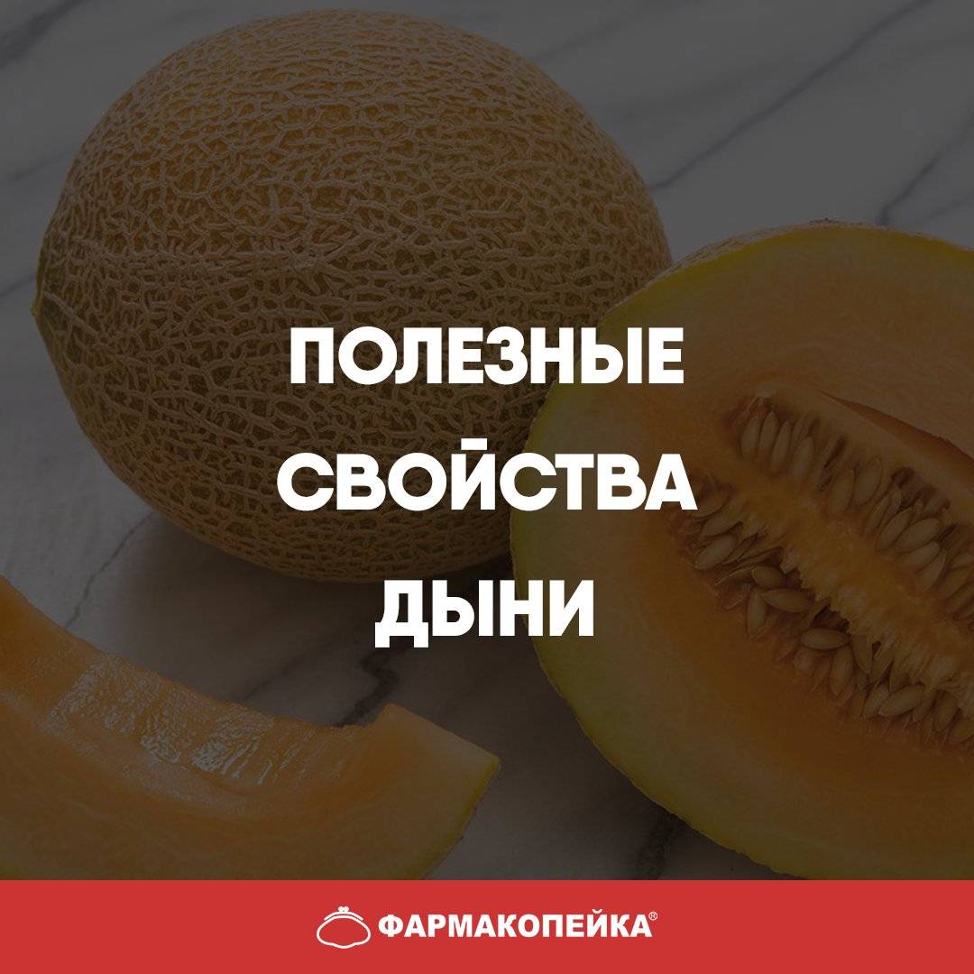 Описание сорта дыни торпеда, польза и вред для человека, как выбрать спелую