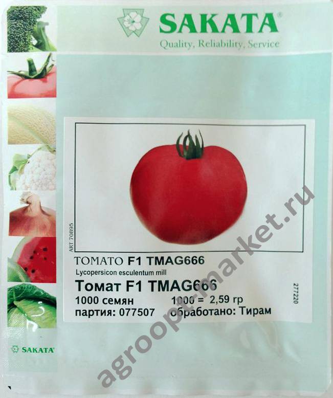 Описание гибридного томата Tmag 666 f1 и выращивание в открытом грунте