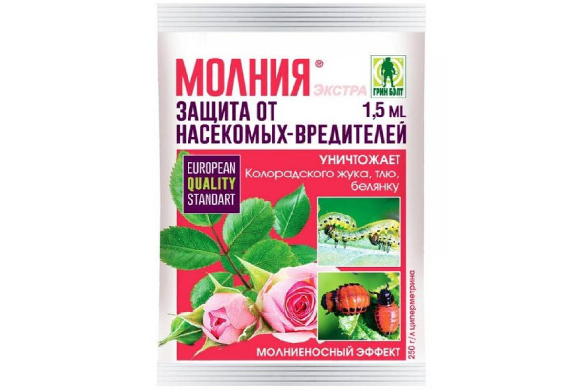 Топ-7 лучших средств от колорадского жука – рейтинг 2023 года