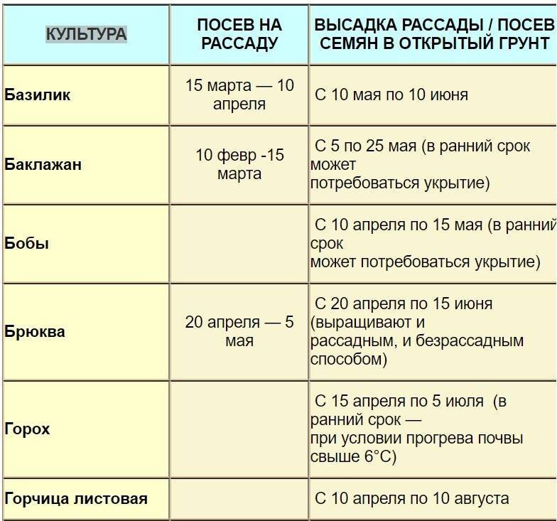 Правильные сроки посева посадки овощных культур