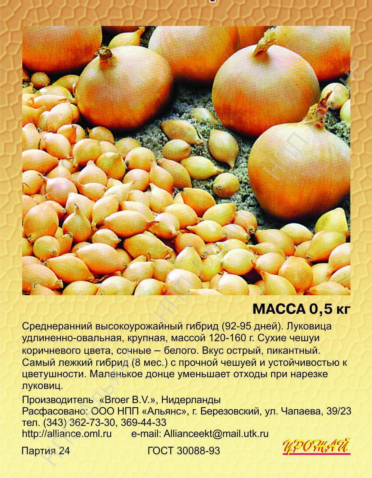 Лук севок сорт Стурон