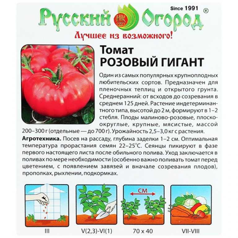 Обзор сладких и урожайных сортов розовых помидор