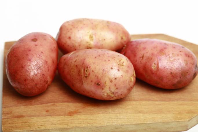 Ред леди картофель: описание сорта, правила посадки, отзывы