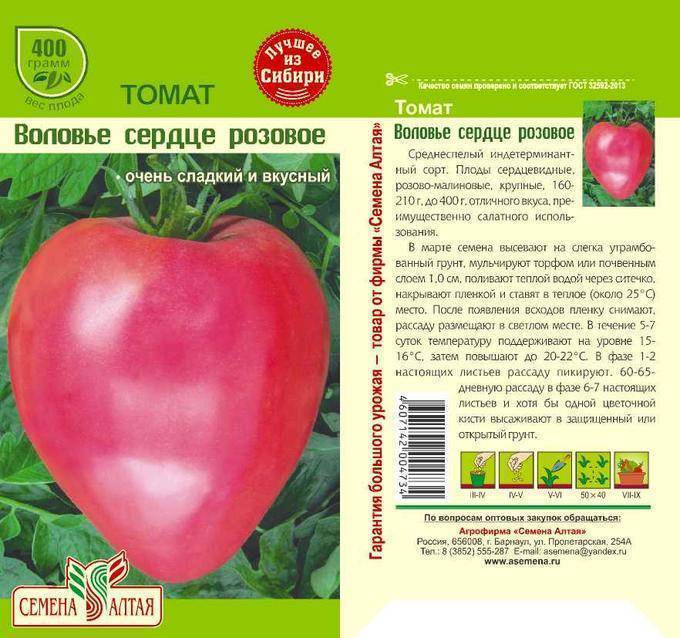 Сердцевидные томаты — особенности сортов и ухода за ними. описание и фото — ботаничка