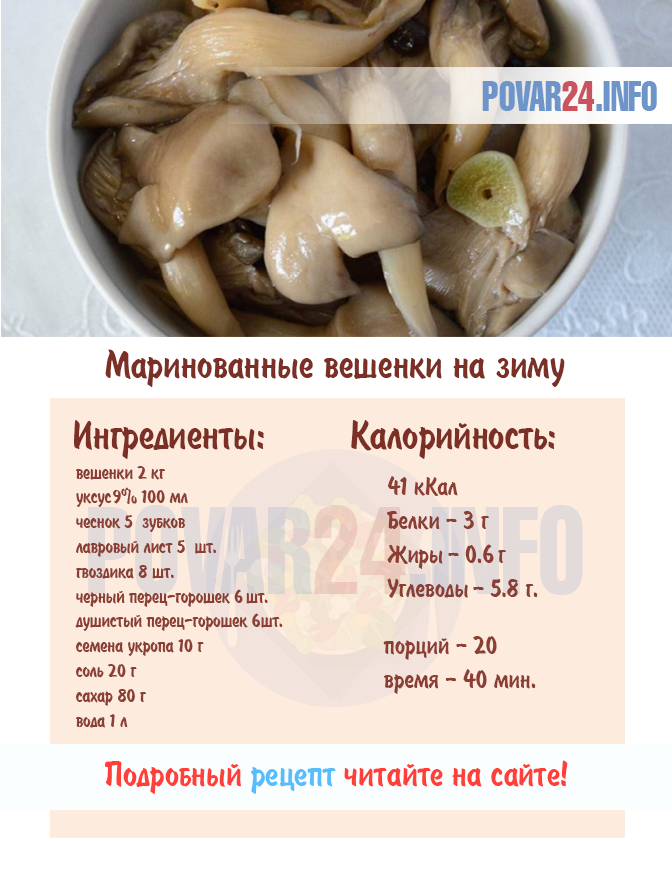 Маринованные вешенки: топ 11 очень вкусных рецептов быстрого приготовления