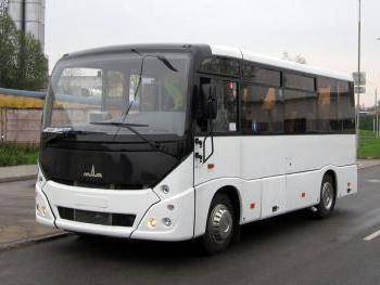 Маз 203: обзор автобуса, технические характеристики