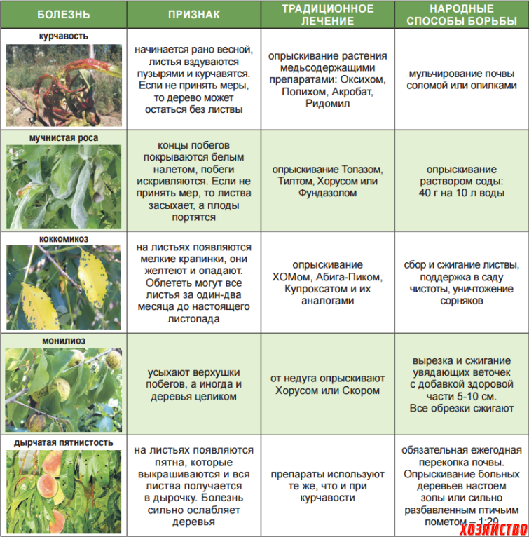 Почему вянут листья у огурцов: что делать и чем обработать растения, препараты, народные средства