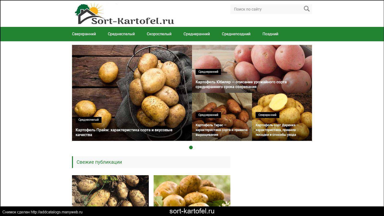 Картофель каменский: характеристика и описание, отзывы, фото, урожайность сорта
