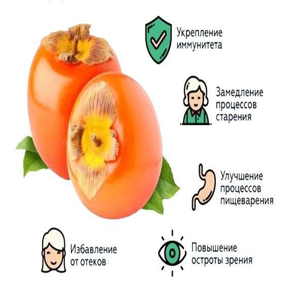 Чем полезна хурма для молодого и стареющего организма?