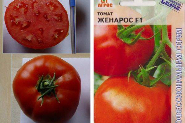 Томат женарос - характеристика и описание сорта, фото, урожайность, выращивание, отзывы