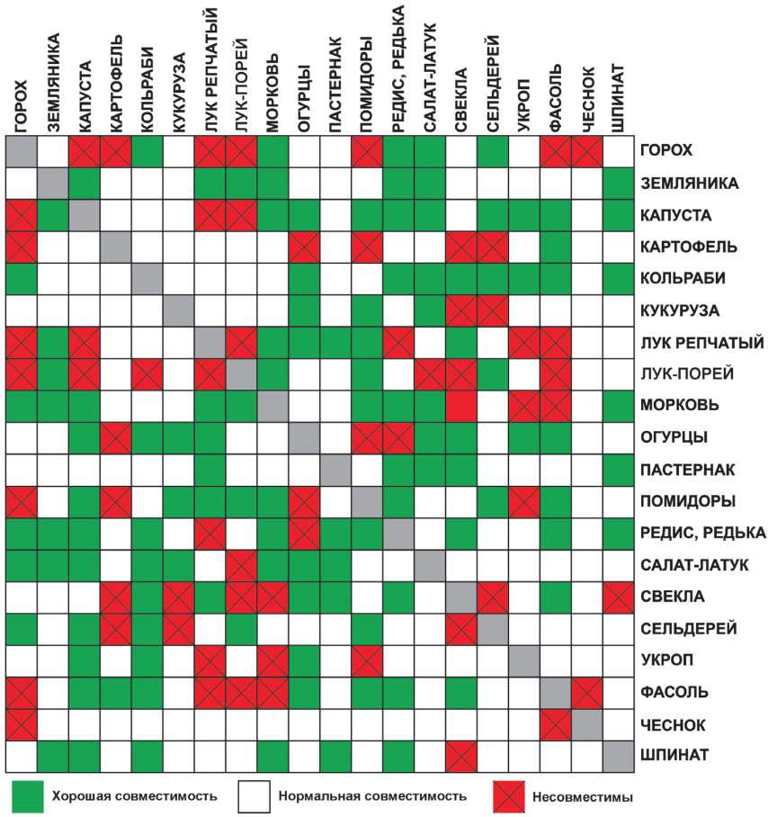 Можно ли садить яблоню рядом с вишней. Совместимость плодовых деревьев и кустарников в саду таблица. Таблица соседства плодовых деревьев. Соседство плодовых деревьев и кустарников. Совместимость ягодных кустарников.