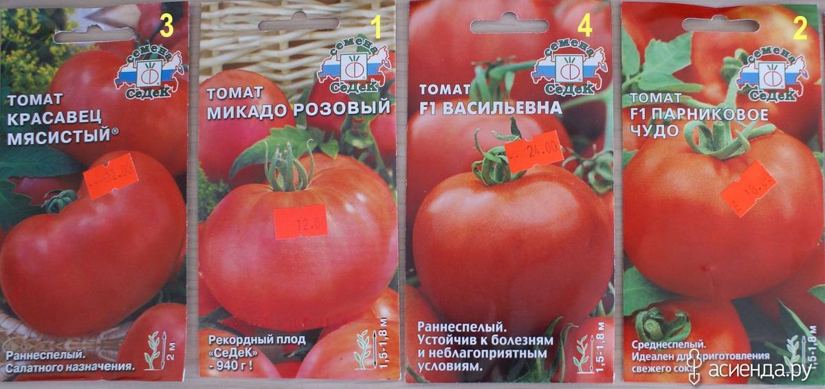 Томат микадо розовый: характеристика и описание сорта с фото, советы по выращиванию семян, урожайность помидора, отзывы тех, кто сажал