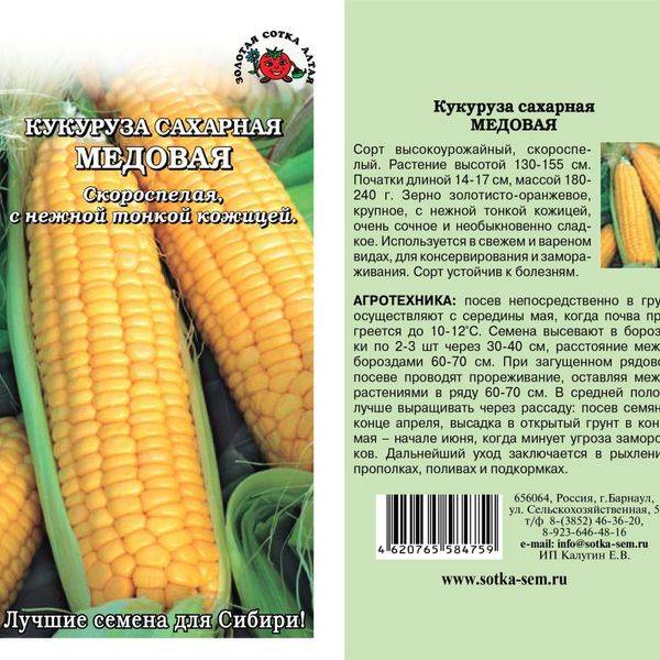 Сорта кукурузы – 42 лучших сорта кукурузы 2023 с описанием и фото | огородникам инфо