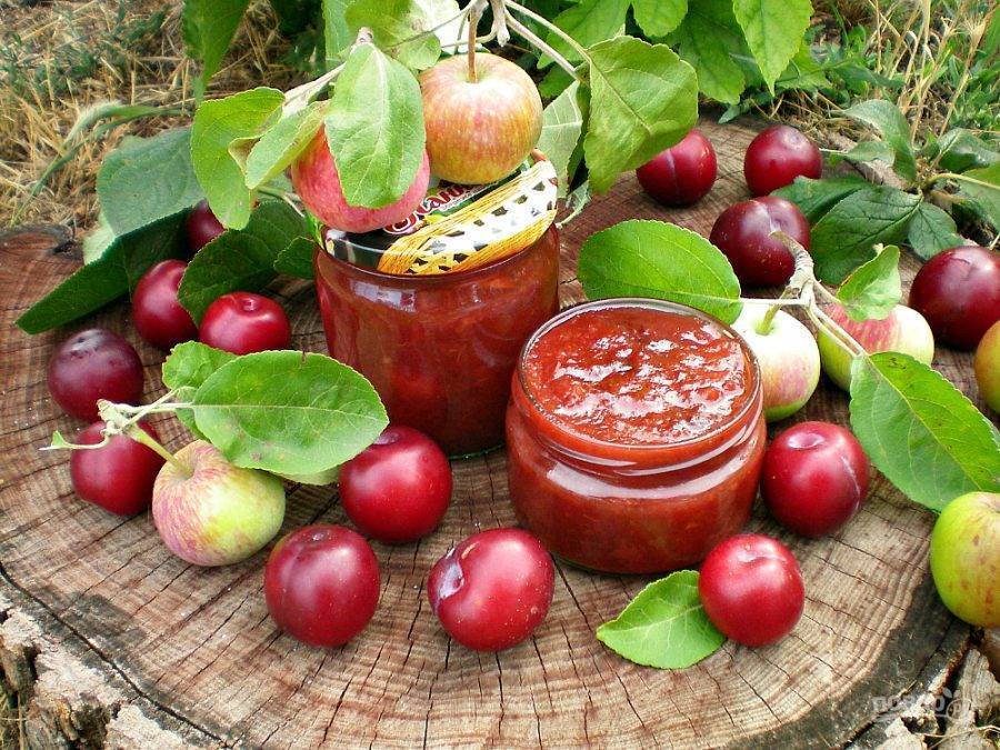 Варенье из сливы — 7 простых рецептов приготовления