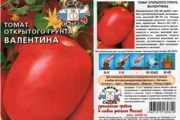 Описание томата Валентина, правила выращивания и отзывы фермеров