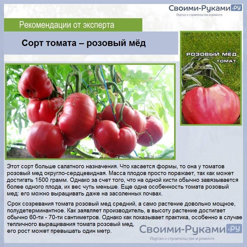 Томат деревенский f1: описание урожайного гибрида, правила выращивания для получения хорошего урожая