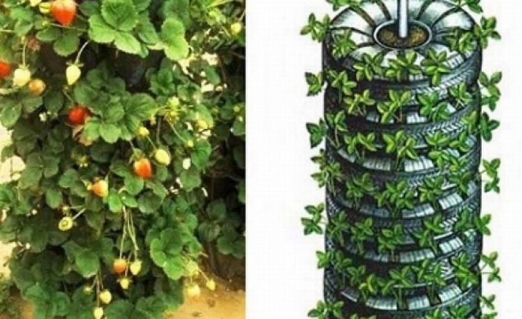 Формы Для Выращивания Огурцов Купить В Омске