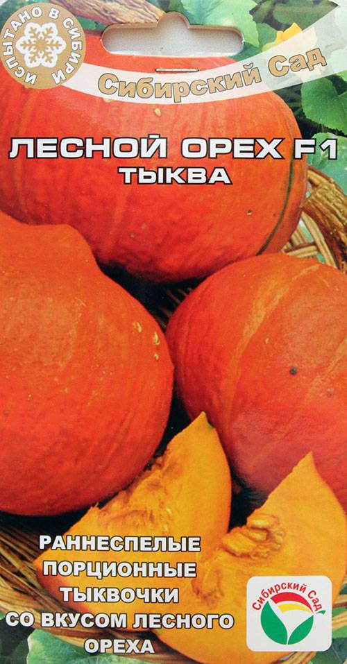 Описание сорта тыквы лесной орех, выращивание и уход