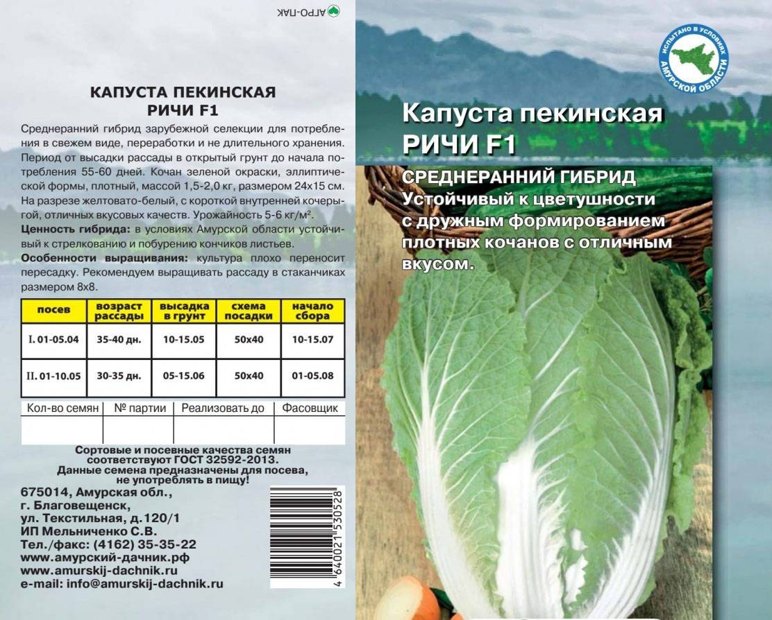 Популярные сорта пекинской капусты: классификация и их описание