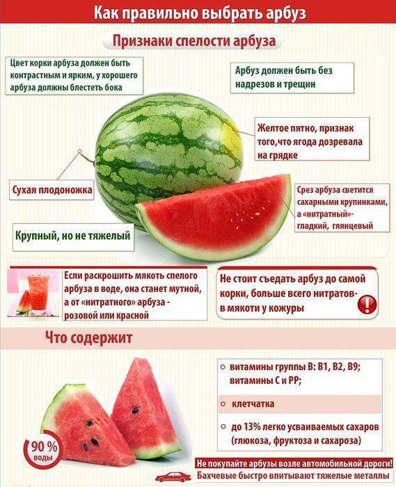 Методы определения спелости арбуза и дыни на грядке