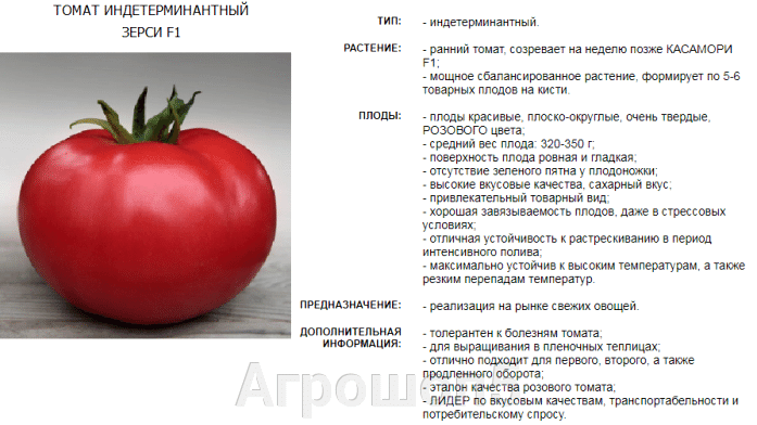 Особенности сортов томатов маша f1 и машенька